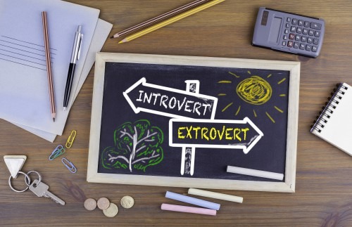 Introvert/Extrovert